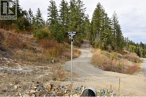 236 Crooked Pine Road - Photo 5