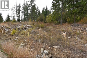 236 Crooked Pine Road - Photo 6