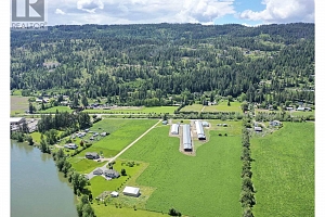 231 Crooked Pine Road - Photo 3
