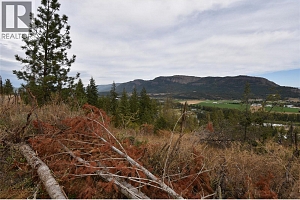 231 Crooked Pine Road - Photo 4