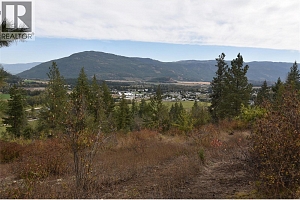 231 Crooked Pine Road - Photo 7