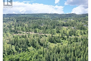 225 Crooked Pine Road - Photo 15
