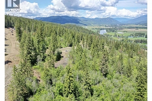 225 Crooked Pine Road - Photo 20