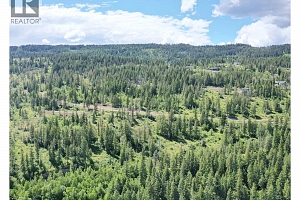 225 Crooked Pine Road - Photo 21