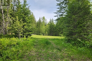 712 Grange Road - Photo 4