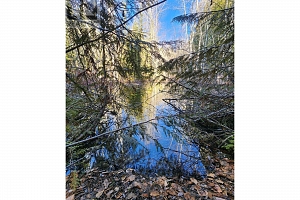 712 Grange Road - Photo 45