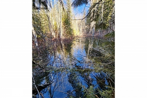 712 Grange Road - Photo 46
