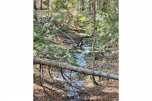 712 Grange Road - Photo 47