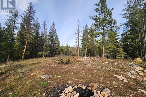712 Grange Road - Photo 48