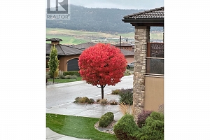 325 Cordon Place - Photo 70