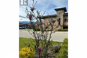 325 Cordon Place - Photo 74