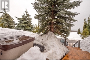 5977 Snow Pines Crescent Unit# 116D - Photo 28