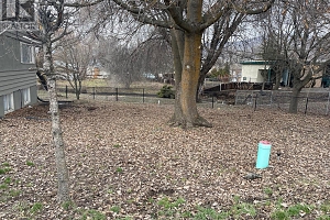 2404 34 Street - Photo 3