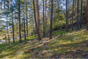 16299 Commonage Road - Photo 28