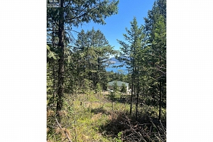 10523 Westshore Road - Photo 12