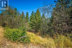 10523 Westshore Road - Photo 16