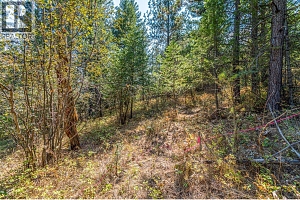 10523 Westshore Road - Photo 19