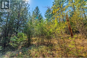 10523 Westshore Road - Photo 20