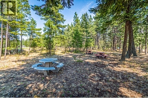 10523 Westshore Road - Photo 30