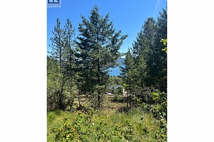 10523 Westshore Road - Photo 5