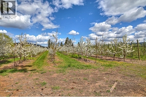 2990 Dunster Road - Photo 31
