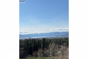2990 Dunster Road - Photo 51