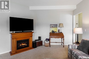 3888 Gallaghers Pinnacle Way Unit# 13 - Photo 28