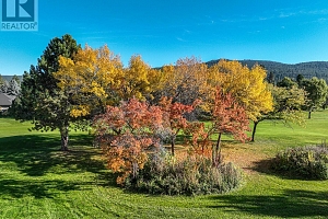 3888 Gallaghers Pinnacle Way Unit# 13 - Photo 37