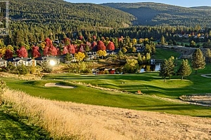 3888 Gallaghers Pinnacle Way Unit# 13 - Photo 40