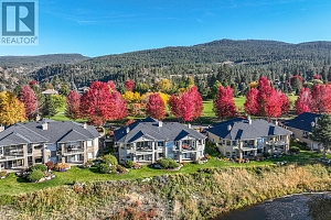 3888 Gallaghers Pinnacle Way Unit# 13 - Photo 42