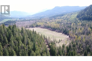 2524 Enderby Mabel Lake Road - Photo 13