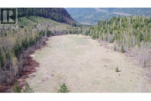 2524 Enderby Mabel Lake Road - Photo 17