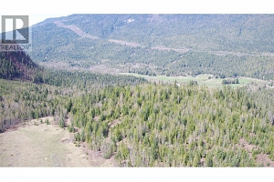2524 Enderby Mabel Lake Road - Photo 18