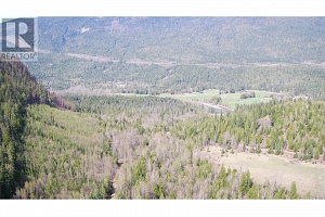 2524 Enderby Mabel Lake Road - Photo 19