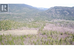 2524 Enderby Mabel Lake Road - Photo 20
