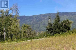 2524 Enderby Mabel Lake Road - Photo 22