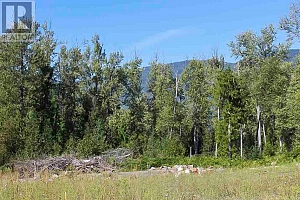 2524 Enderby Mabel Lake Road - Photo 23