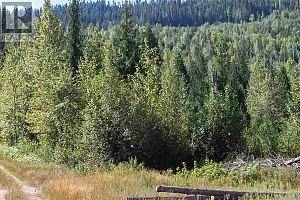2524 Enderby Mabel Lake Road - Photo 25