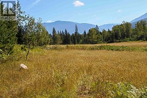 2524 Enderby Mabel Lake Road - Photo 26