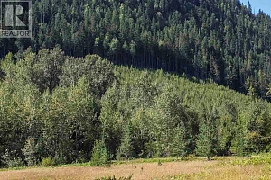 2524 Enderby Mabel Lake Road - Photo 27