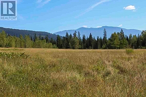 2524 Enderby Mabel Lake Road - Photo 28