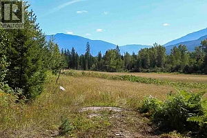 2524 Enderby Mabel Lake Road - Photo 30