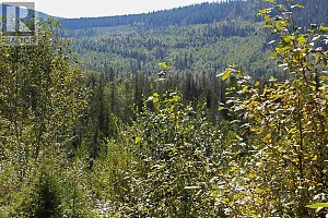 2524 Enderby Mabel Lake Road - Photo 31