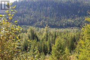 2524 Enderby Mabel Lake Road - Photo 32