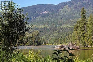 2524 Enderby Mabel Lake Road - Photo 33