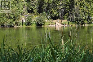 2524 Enderby Mabel Lake Road - Photo 34