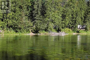 2524 Enderby Mabel Lake Road - Photo 38