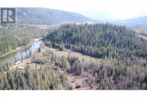 2524 Enderby Mabel Lake Road - Photo 6