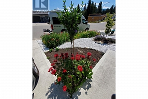 2708 Cedar Ridge Street - Photo 58