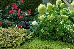 4345 Gallaghers Fairway S - Photo 41